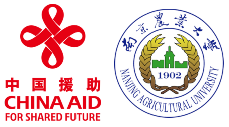 Award Logo
