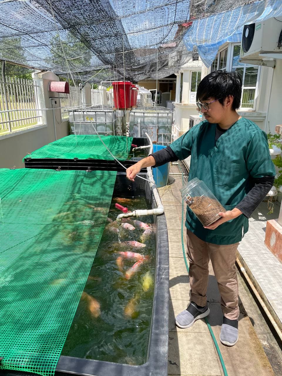 Fatih Aquaculture Backyard Farm