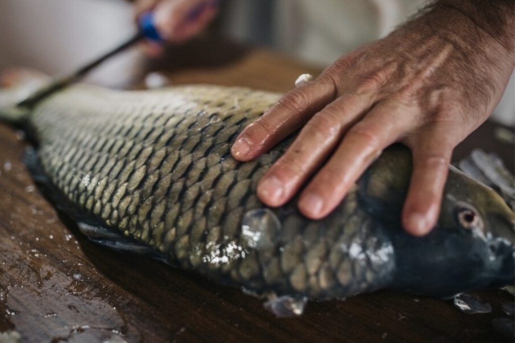 Fish Gutting Service